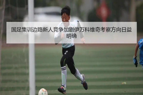 国足集训边路新人竞争加剧伊万科维奇考察方向日益明确